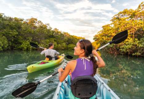 Team Adventure and Excursions in Sri Lanka