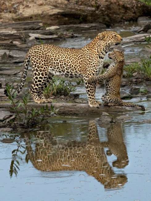Tour At Yala Safari Park