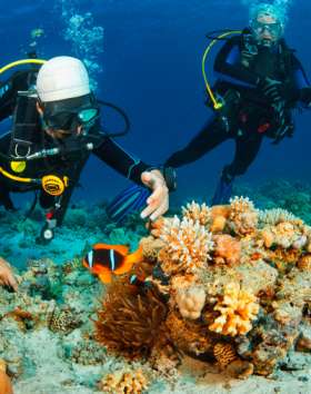 Scuba Diving in Maldives