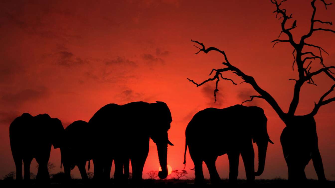 National Parks in Sri Lanka